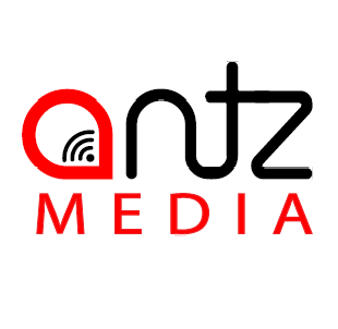 Antzmedia Digital Solutions Private limited Logo