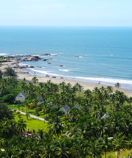 Concord Exotic Voyages